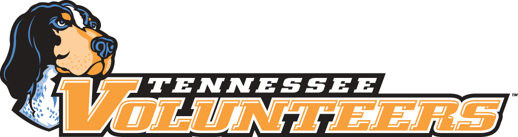 Tennessee Volunteers 2005-Pres Wordmark Logo v4 diy iron on heat transfer